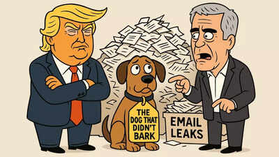 'Dog that hasn't barked': Do new Epstein emails exonerate Trump? Decoding the Democrats release