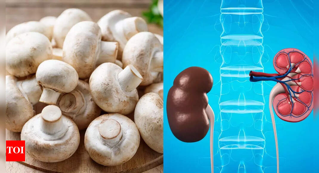 मशरूम आपकी किडनी के लिए सुरक्षित नहीं हो सकता है: क्या खाएं, क्या न खाएं और कैसे सुरक्षित रहें |