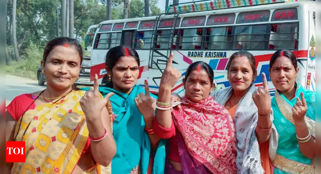 <div>Valmiki Nagar Election Results 2025 Highlights: JD(U)'s Dhirendra Pratap Singh and Congress' Surendra Prasad locked in fierce duel</div>