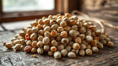 Govt comes out with a draft Seed Bill to ensure farmers’ access to high-quality seeds and curb the sale of spurious seeds