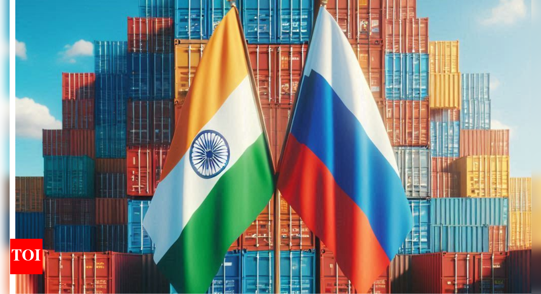 $100 billion trade target by 2030: India, Russia discuss ways to boost bilateral ties; marine and pharma products in focus