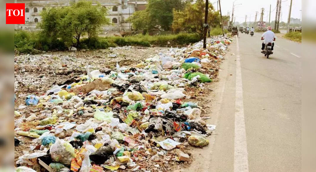 MC cracks down on open garbage dumping | Ludhiana News - The Times of India