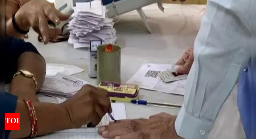 <div>Gaya Town Election Results 2025 Highlights: ​BJP's Prem Kumar faces INC's ​Akhaury Onkar Nath</div>