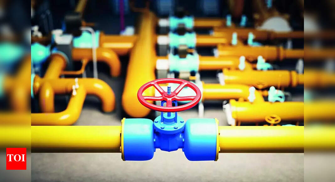 IGL eyes Saudi Arabia for first overseas city gas venture