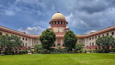 'Delhi air hazardous': SC judge asks lawyers to appear in virtual mode