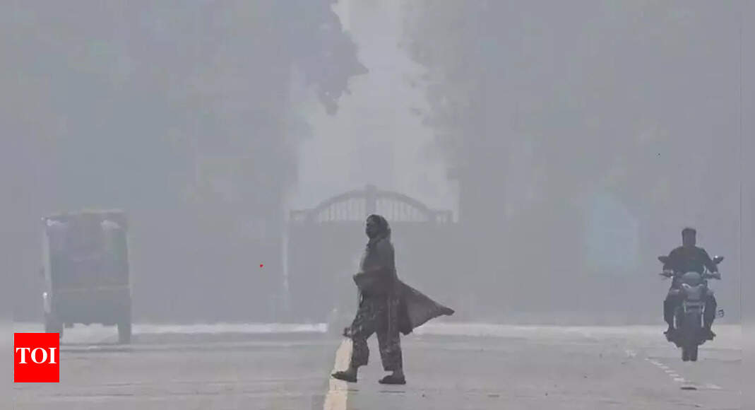 How Delhi is caught in a poisonous loop