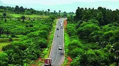 Notify Saranda as sanctuary in 3 months, SC tells Jharkhand