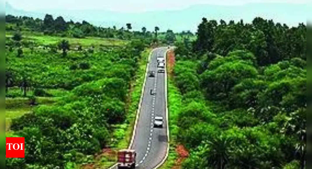 Notify Saranda as sanctuary in 3 months, SC tells Jharkhand