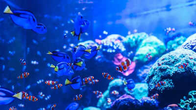 30,000 fossils uncovered in the Arctic show how oceans came back to life after the ‘Great Dying’