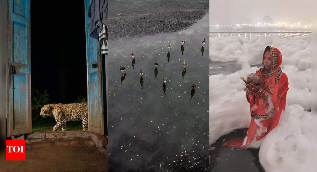 Wildlife narratives, photography and music at Bengaluru festival