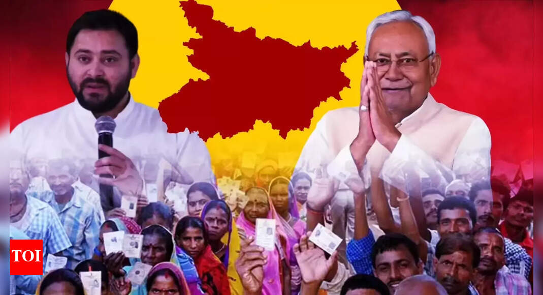 Bihar election results: Top winners and losers