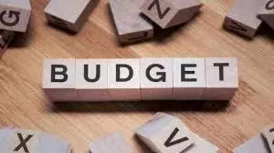 Chhattisgarh staff seek DA budget; CKAF demands Bihar model, govt urged to act in 2026-27
