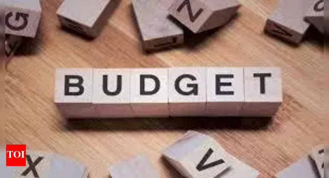 Chhattisgarh staff seek DA budget; CKAF demands Bihar model, govt urged to act in 2026-27