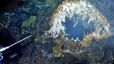 Axial Seamount may erupt by 2026: Uncovering the hidden dangers of Oregon’s most active underwater volcano