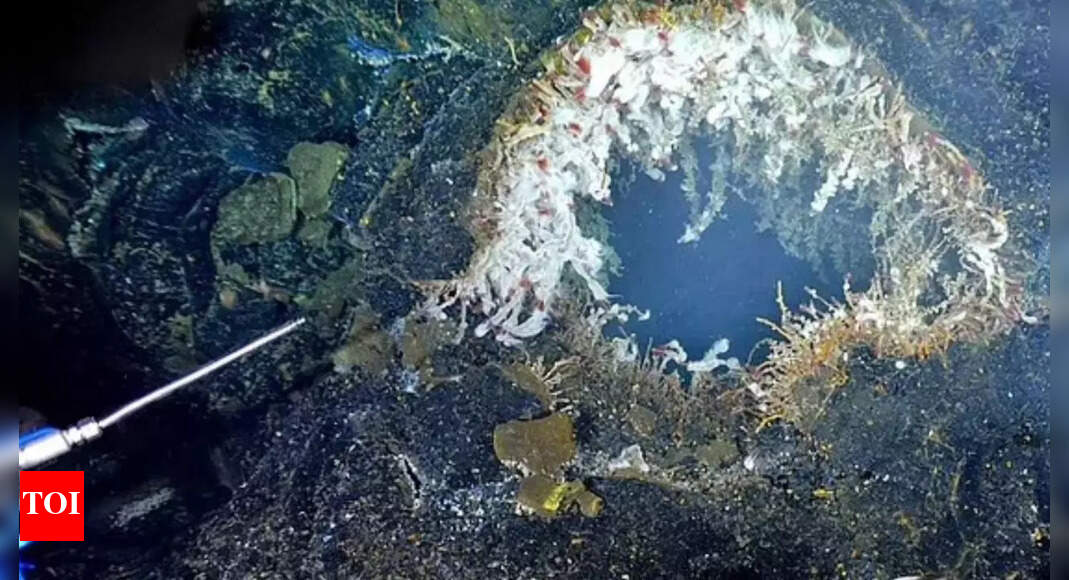 Axial Seamount may erupt by 2026: Uncovering the hidden dangers of Oregon’s most active underwater volcano