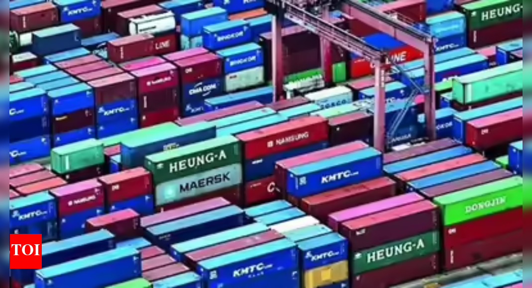 Trade push: India seeks faster Russian clearances as both sides target 0 bn by 2030; pharma and marine approvals on priority – The Times of India