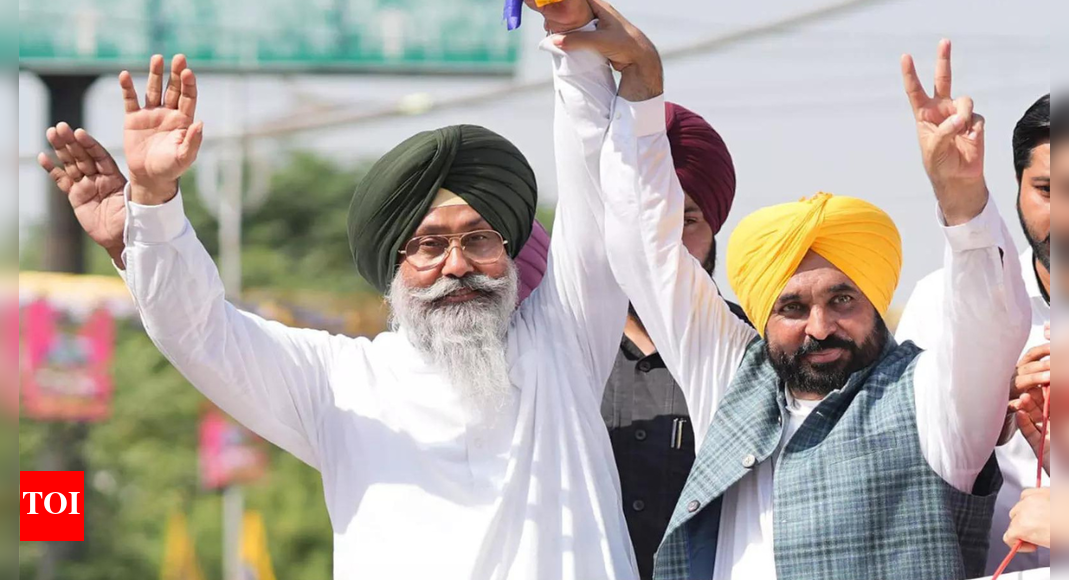 'People of Punjab prefer politics of work': CM Bhagwant Mann hails AAP's Tarn Taran bypoll win