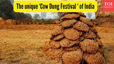 This village in South India celebrates a unique ‘cow poop festival’ every year