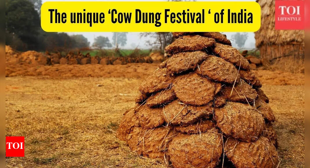 This village in South India celebrates a unique ‘cow poop festival’ every year