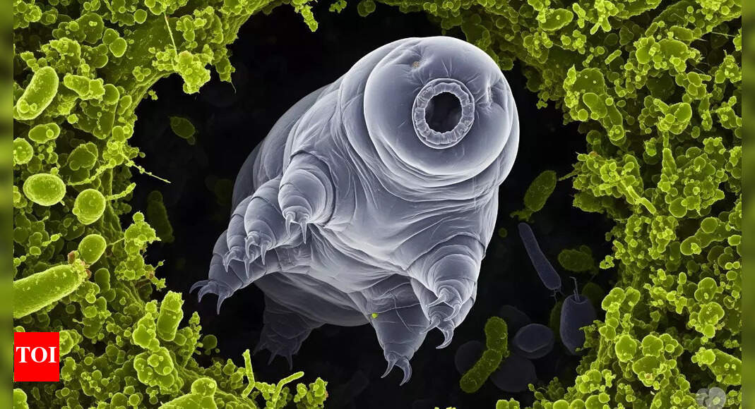 7 animals that are extremely hard to kill