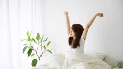 STOP making your bed immediately after waking! How dust mites are harming your health and morning routine