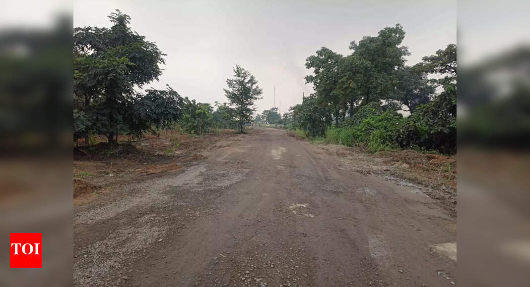 NGT notice to govt officials over ‘encroachment’ by pvt company