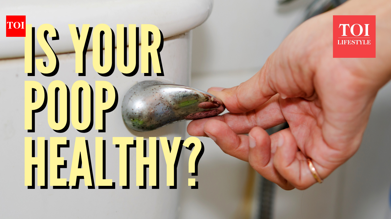 Poop: Harvard doctor explains what your poop type indicates and how to ...