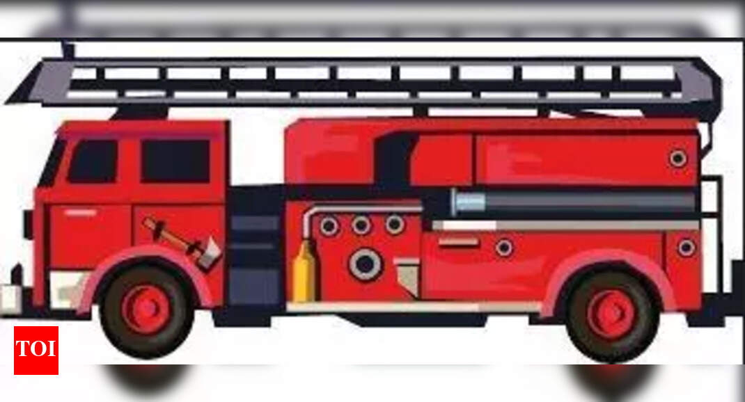 80-year-old man dies in Tinikonia market fire in Saheed Nagar