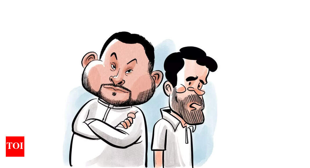 Why BJP will breathe easier after the sweeping Bihar win