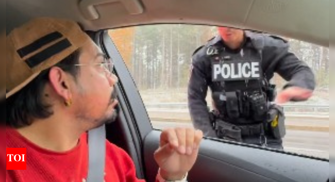 <div>'You don't own the country': Indian man in Canada gets $615 ticket for driving while 'watching a video', calls it 'racist'</div>