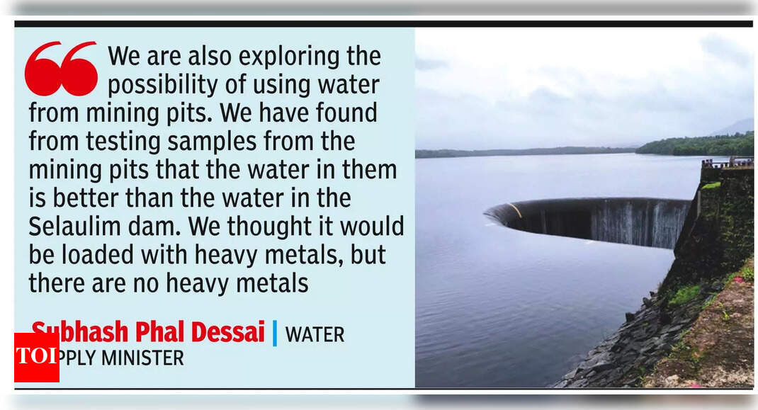 Govt to crack down on leakages to reduce non-revenue water by half