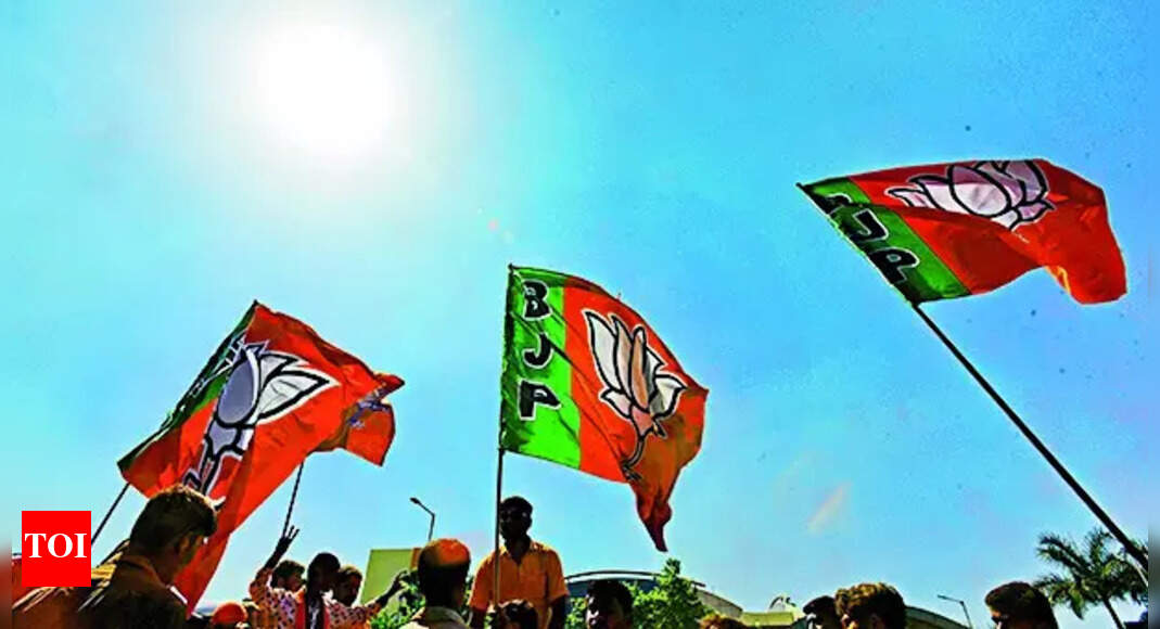 After Bihar verdict: Winning run may restart race for BJP president post