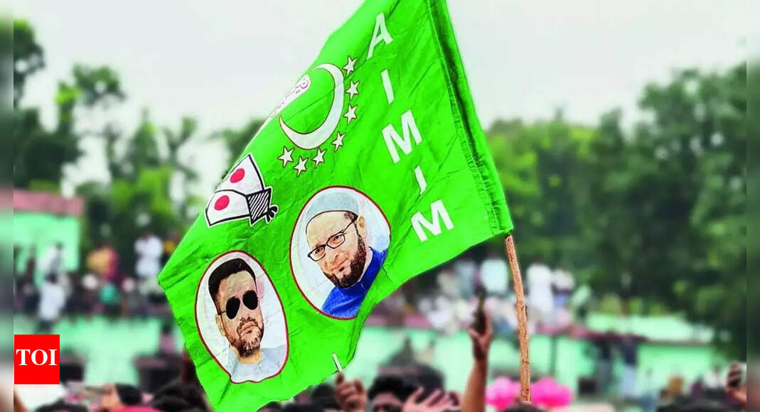 <div>Bihar election results: Muslim voters look beyond MGB to favour 'their own'</div>
