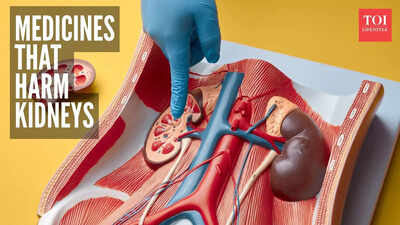 5 common medicines that can damage kidneys and what are the alternatives