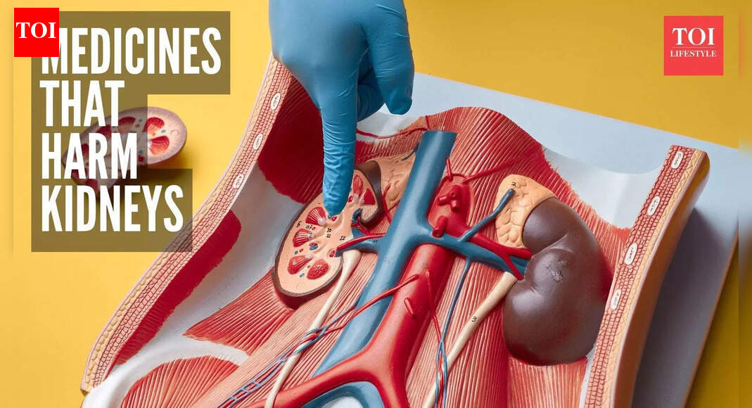 5 common medicines that can damage kidneys and what are the alternatives