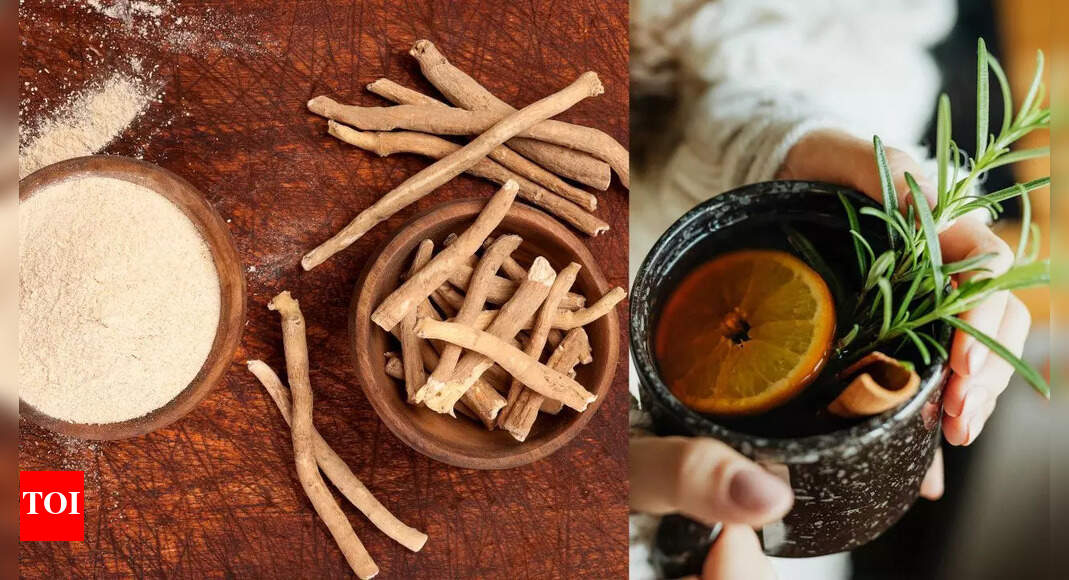 Shilajit vs. Ashwagandha: Which ayurvedic herb boosts energy, reduces stress, and enhances overall health