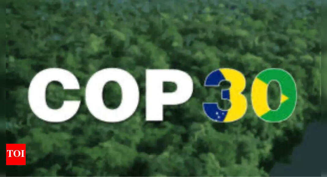 Fossil fuel lobbyists flood COP30 climate talks in Brazil, with largest ever attendance share