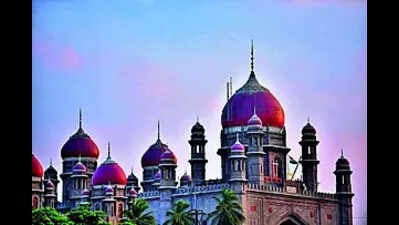 Telangana  HC slams govt over delay in land dispute