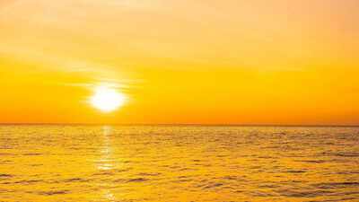  What it means for your zodiac sign