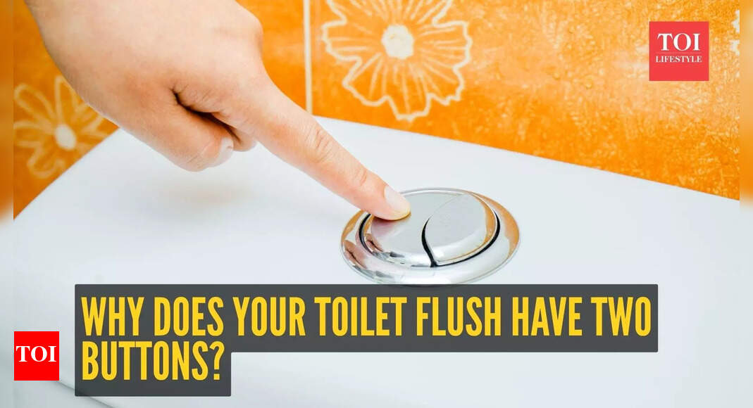 Why does your toilet flush have two buttons? You’ll be surprised