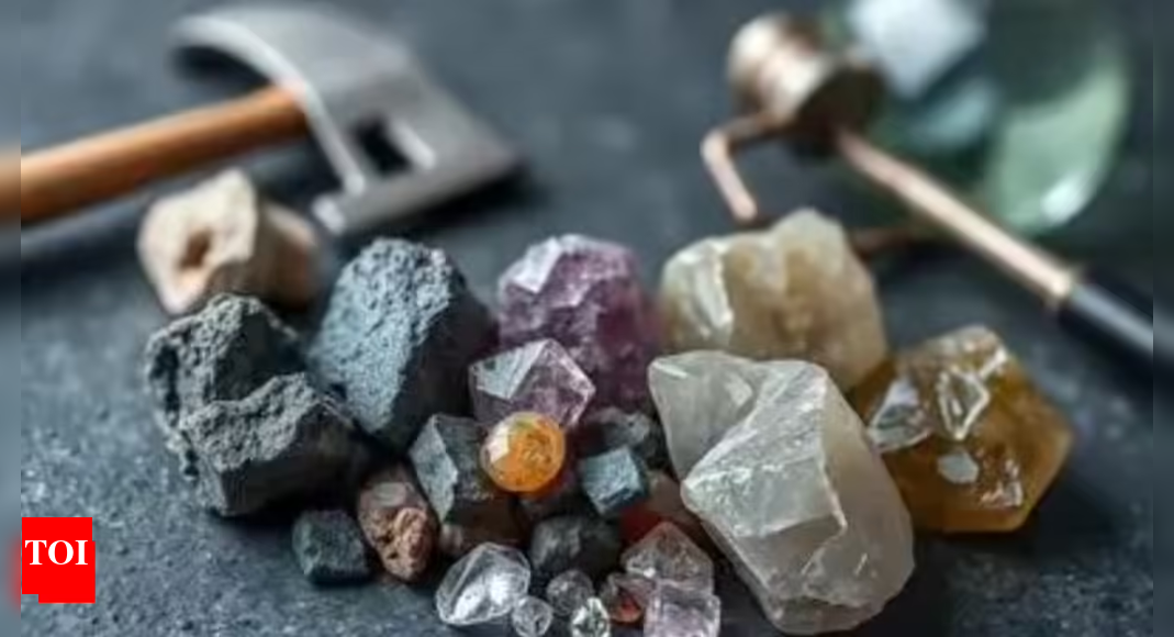 Critical minerals push: Venezuela seeks deeper ties with India; Piyush Goyal calls for reviving joint mechanism