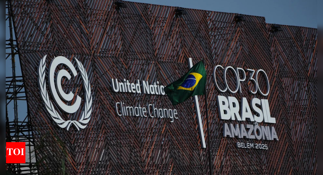 COP30: How Brazilian crime cartels undermine climate efforts