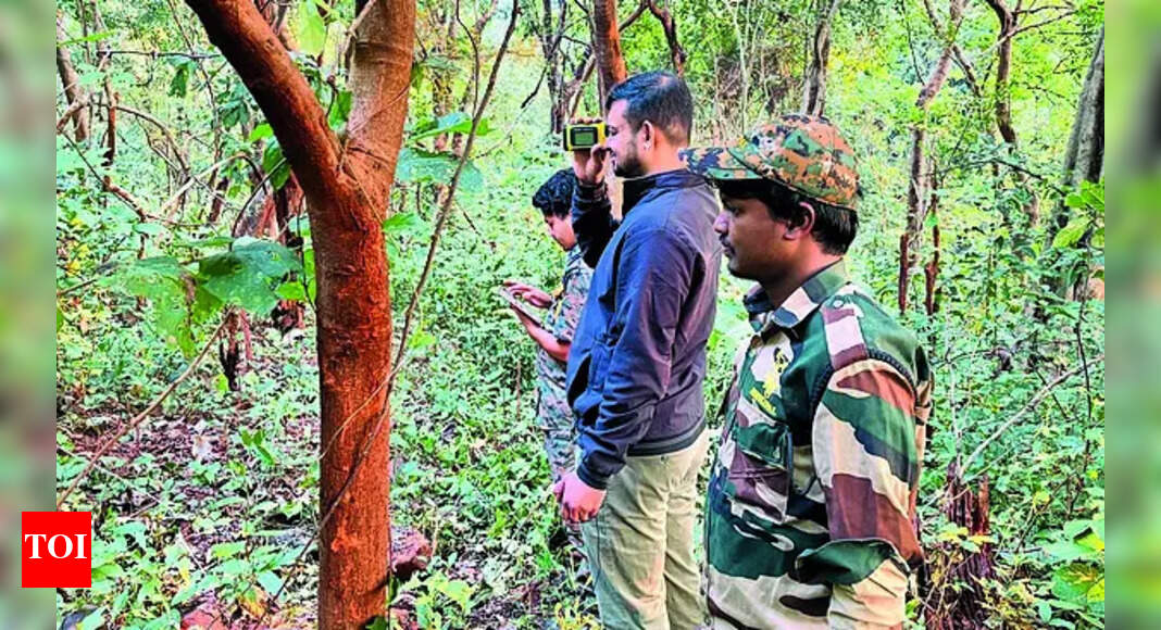 The Times of India - Environment - News Image