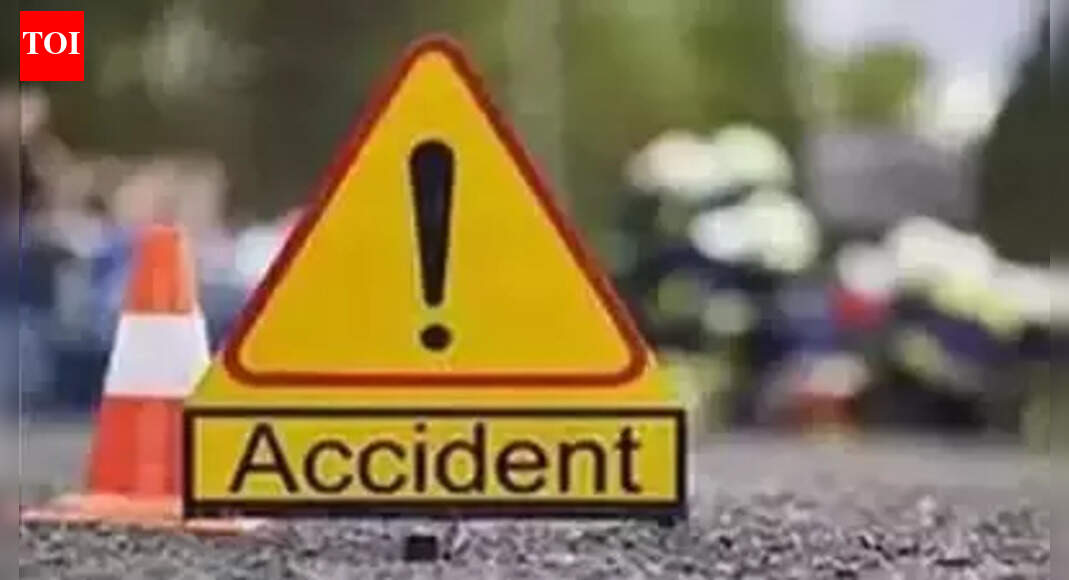 Woman crashes speeding car into tree | Hyderabad News - The Times of India