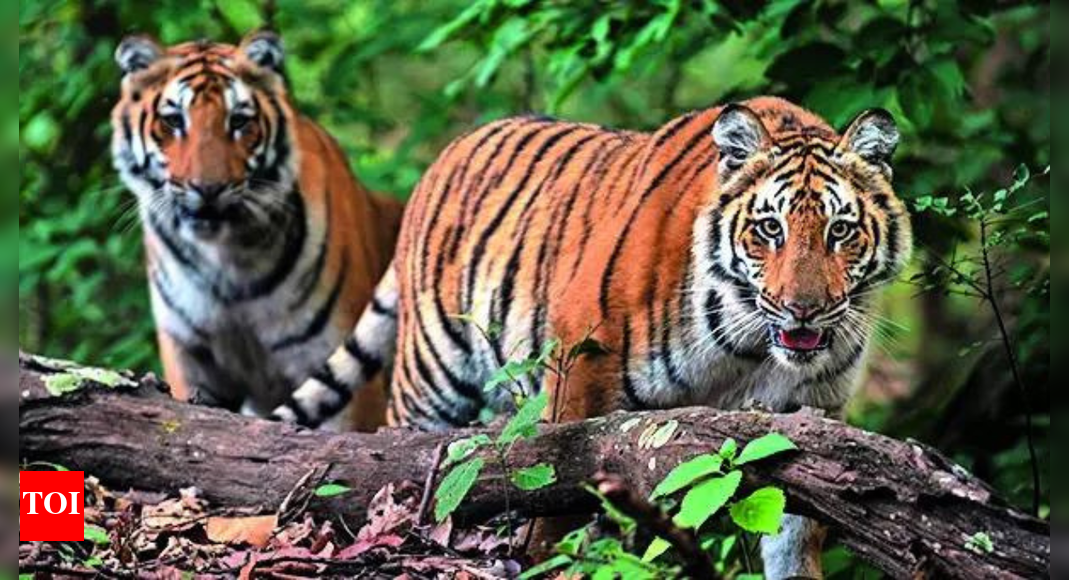 Ignoring own orders, Supreme Court has kept case in limbo since 2018