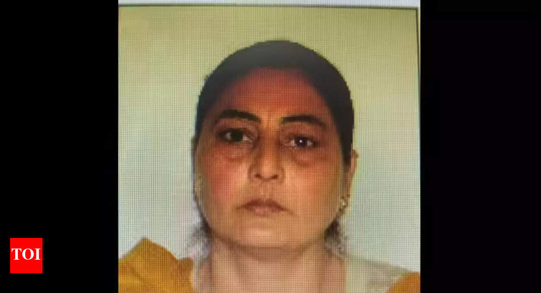 'Missing' Punjab woman who went to Pakistan, 'converted to Islam, married citizen'