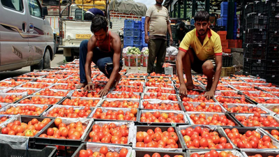  Better monsoon, sowing to cool H2FY26 inflation; adverse base could lift FY27 rates