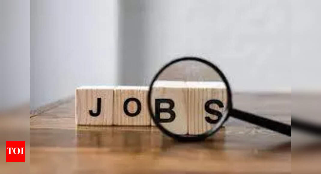 5 government jobs expiring today: Check vacancies, eligibility and where to apply