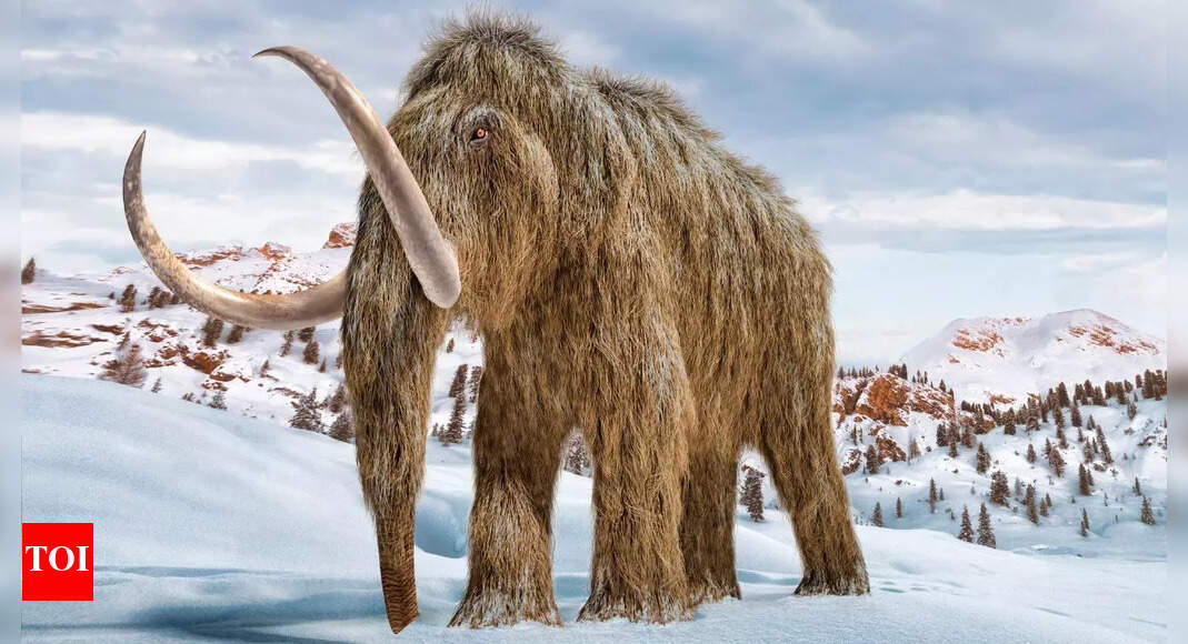 How 39,000-year-old ancient RNA from a mammoth found in Siberia reveals its biology