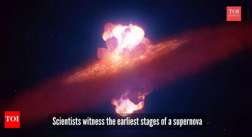 Supernova with a disk of dust visual